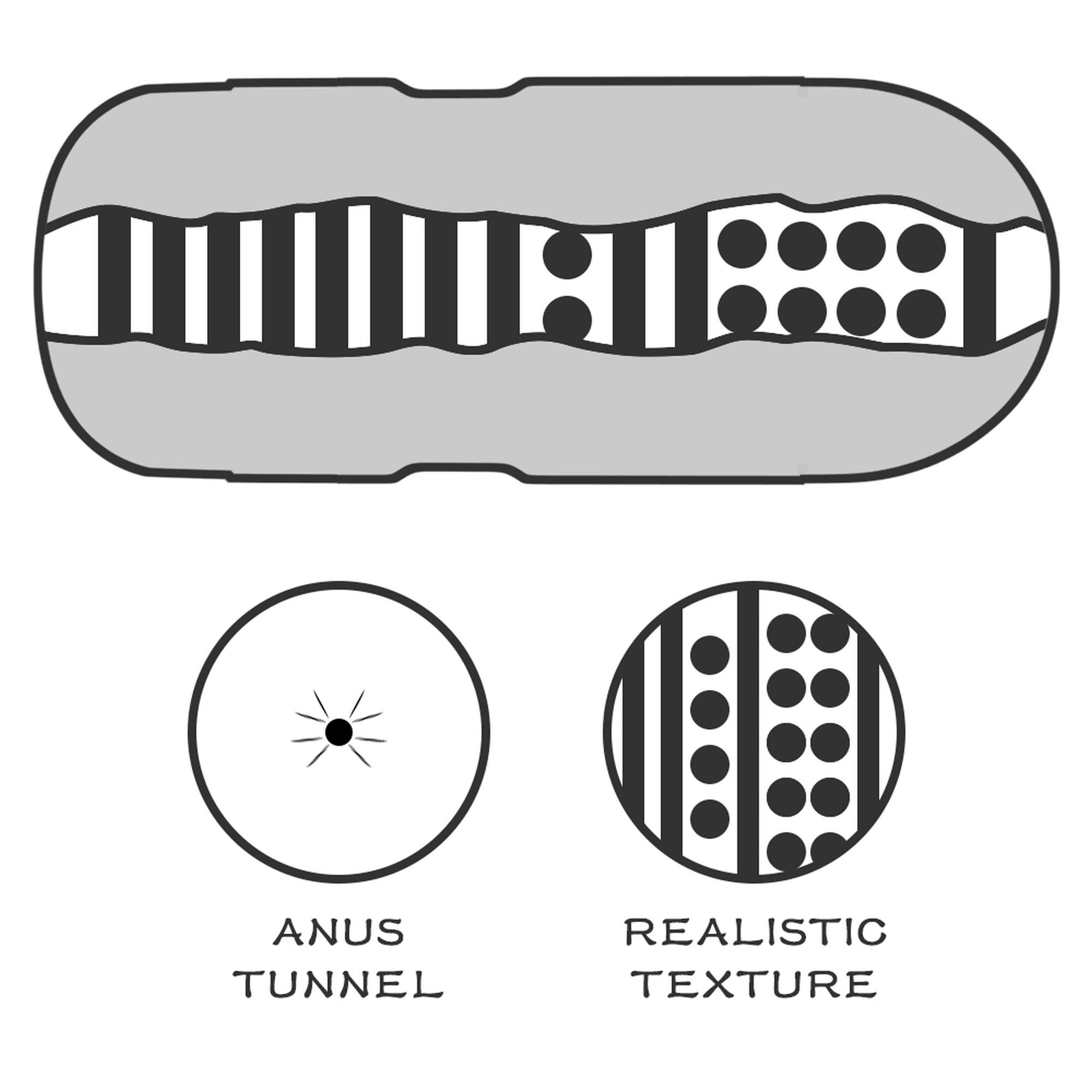 Masturbator Lovetoy Sex In A Can Anus Lotus Tunnel – anus, 16 cm — zdjęcie 4