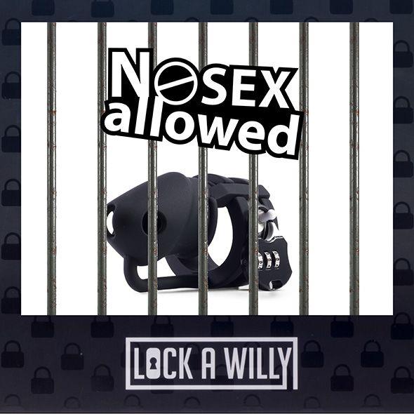 Klatka na penisa Lock-a-Willy – silikonowa, z zamkiem szyfrowym — zdjęcie 4