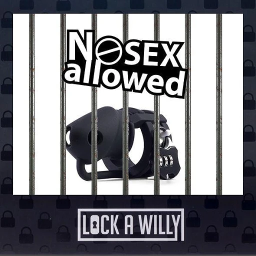 Klatka na penisa Lock-a-Willy – silikonowa, z zamkiem szyfrowym — zdjęcie 4