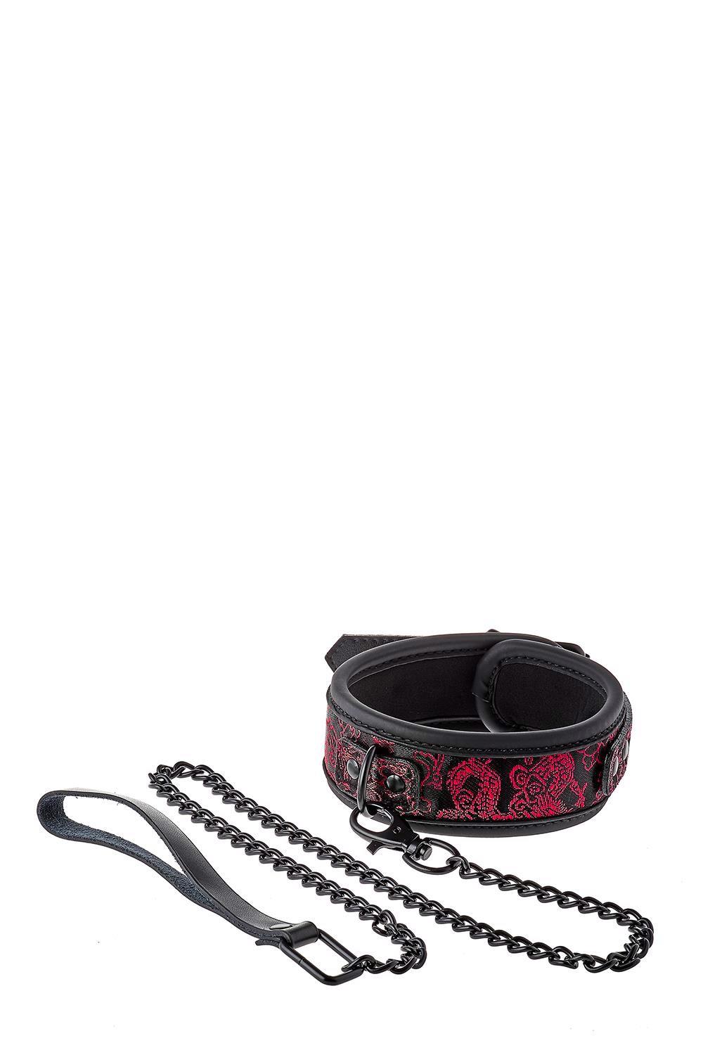Obroża Blaze Deluxe - neopren, regulowana — zdjęcie 3