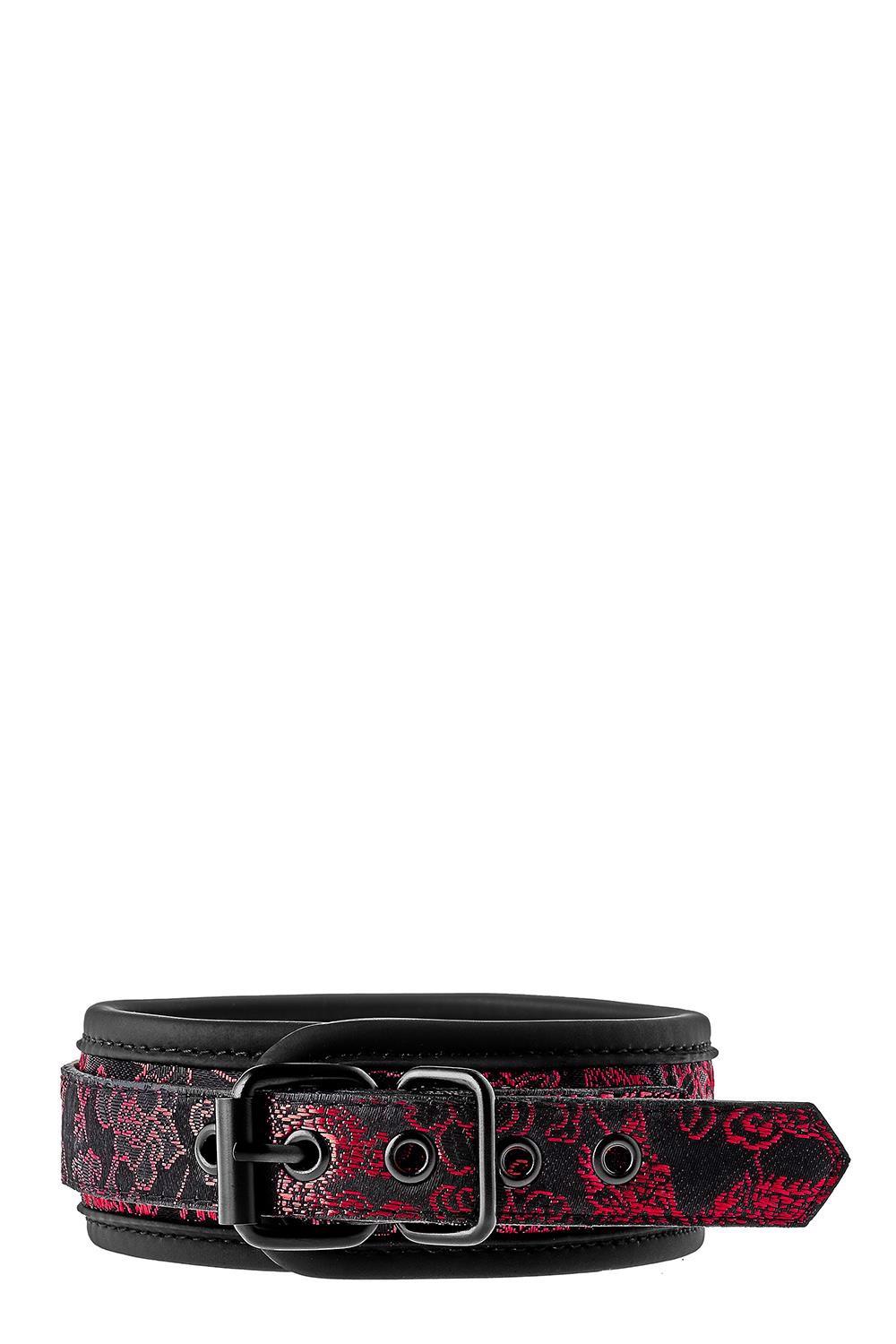 Obroża Blaze Deluxe - neopren, regulowana — zdjęcie 4