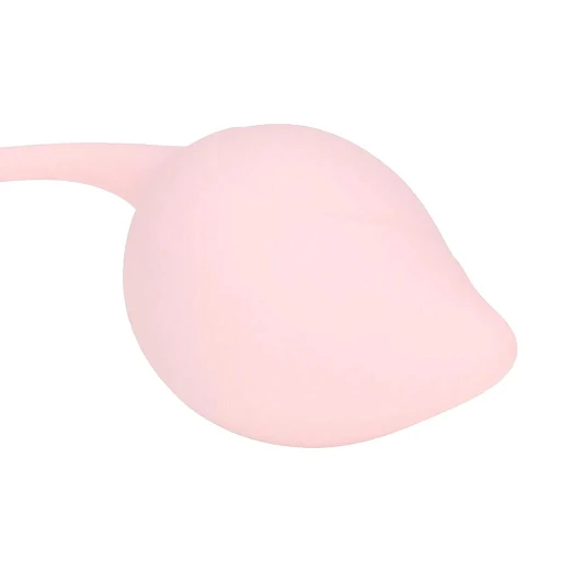Zestaw kulek Pelvic Stem Kegel Kit - zestaw 5 szt. — zdjęcie 5