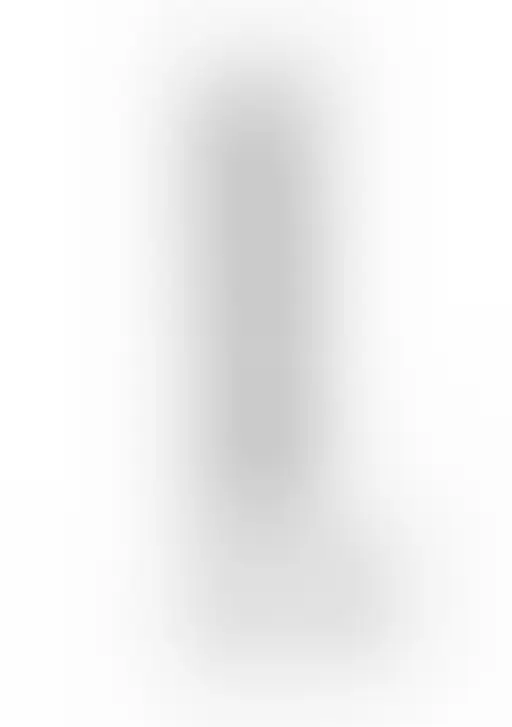 Dildo RealRock Crystal Clear 10” z jądrami i przyssawką