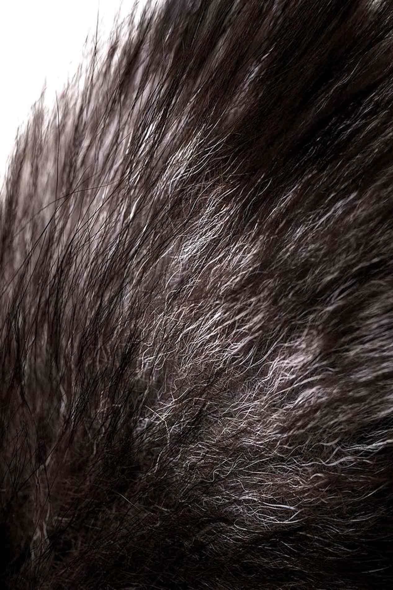 Korek analny z lisim ogonem – metalowy, rozmiar M — zdjęcie 7