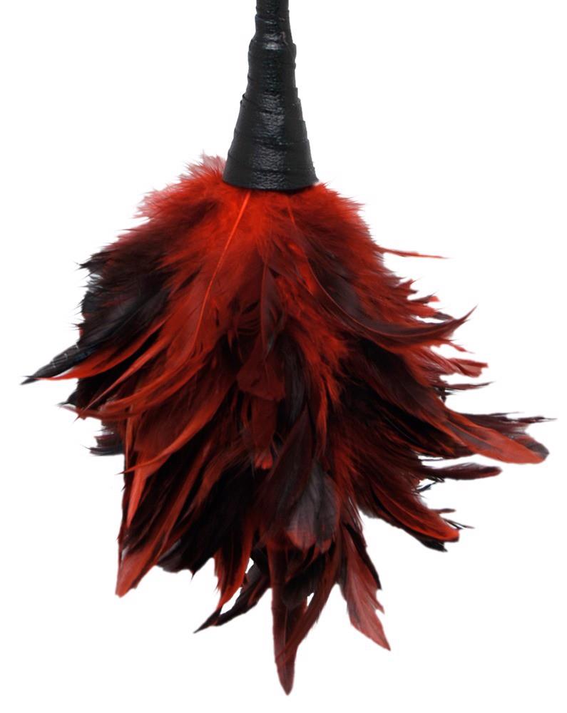 Pejcz Frisky Feather Duster - pióra — zdjęcie 2