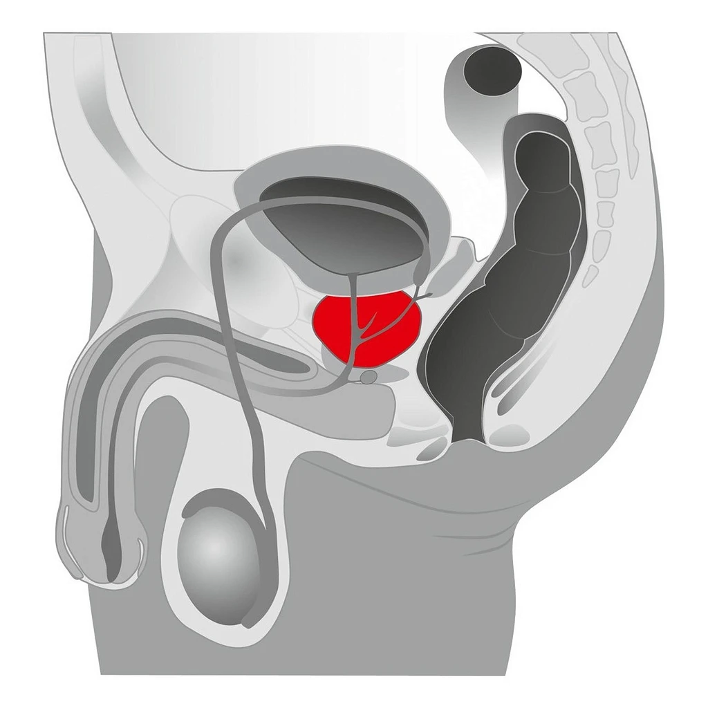 Masażer prostaty Joystick Booster - silikon, wibracyjny — zdjęcie 3