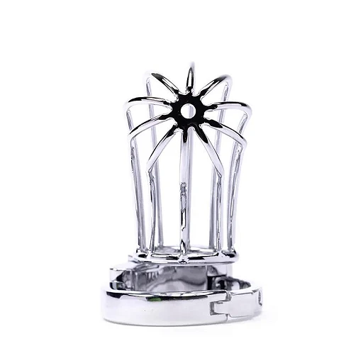 Klatka na penisa Stainless Steel Cage 2 – stal nierdzewna — zdjęcie 5